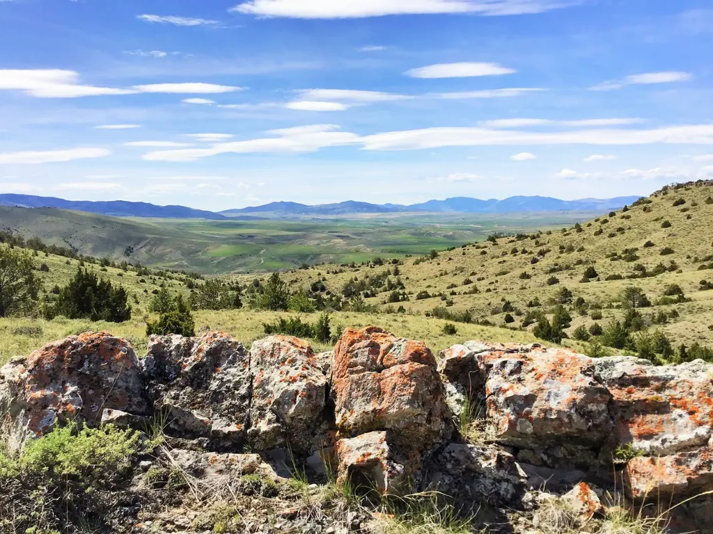 Nhn Milligan Canyon Road Cardwell MT 59721
