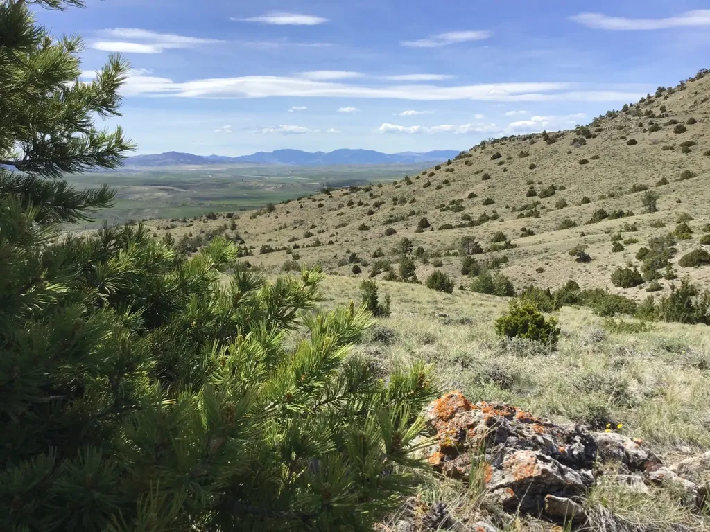 Nhn Milligan Canyon Cardwell MT 59721