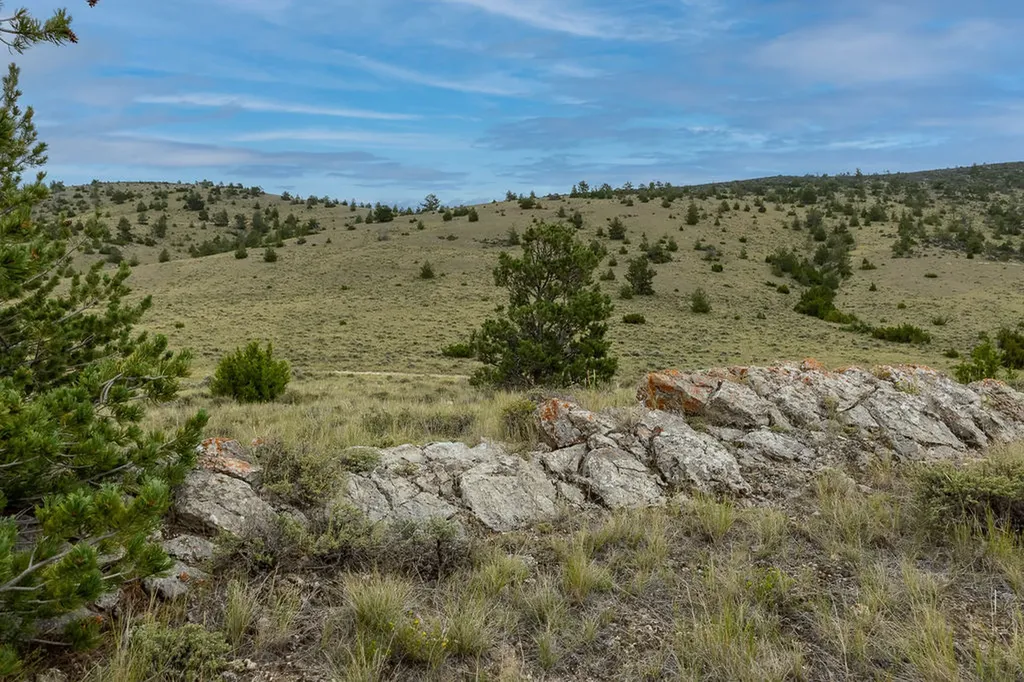 Nhn Milligan Canyon Cardwell MT 59721