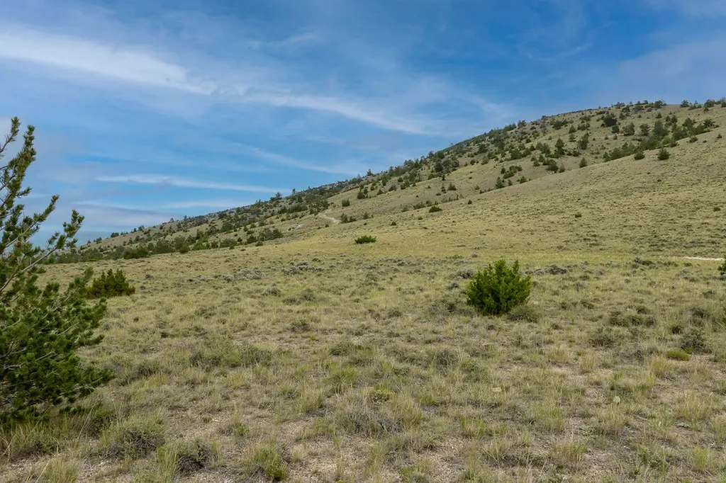 Nhn Milligan Canyon Cardwell MT 59721
