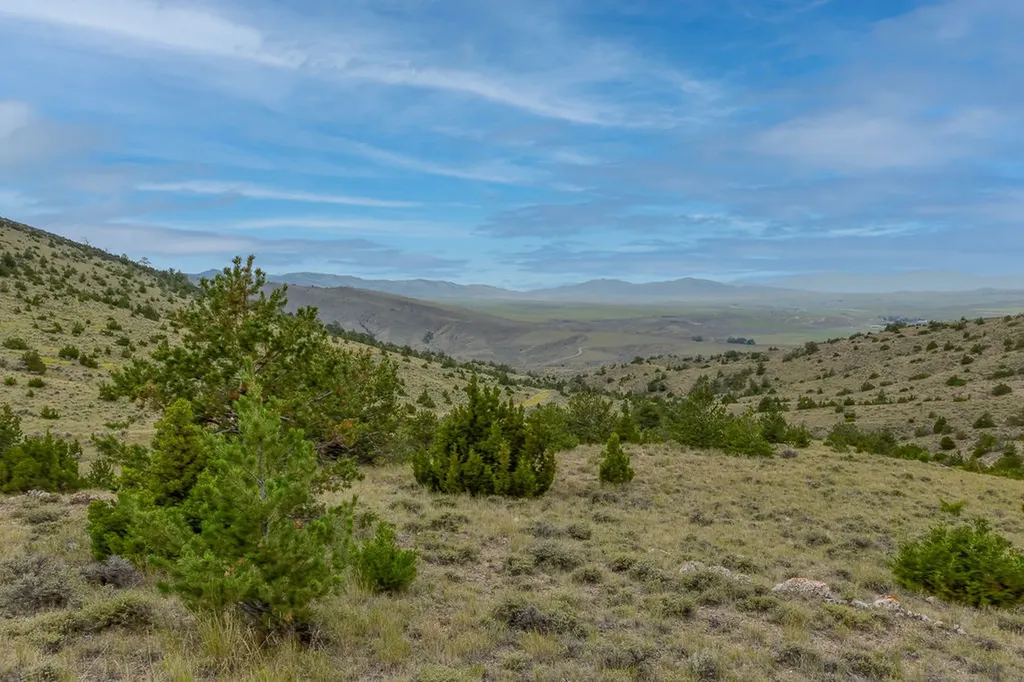 Nhn Milligan Canyon Road Cardwell MT 59721