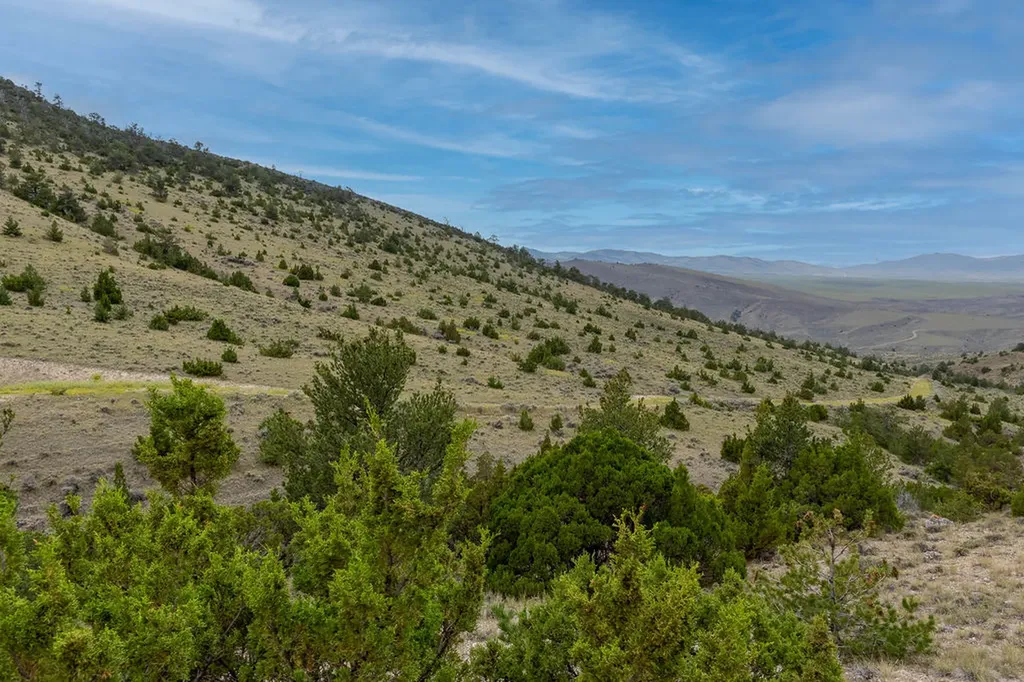 Nhn Milligan Canyon Road Cardwell MT 59721