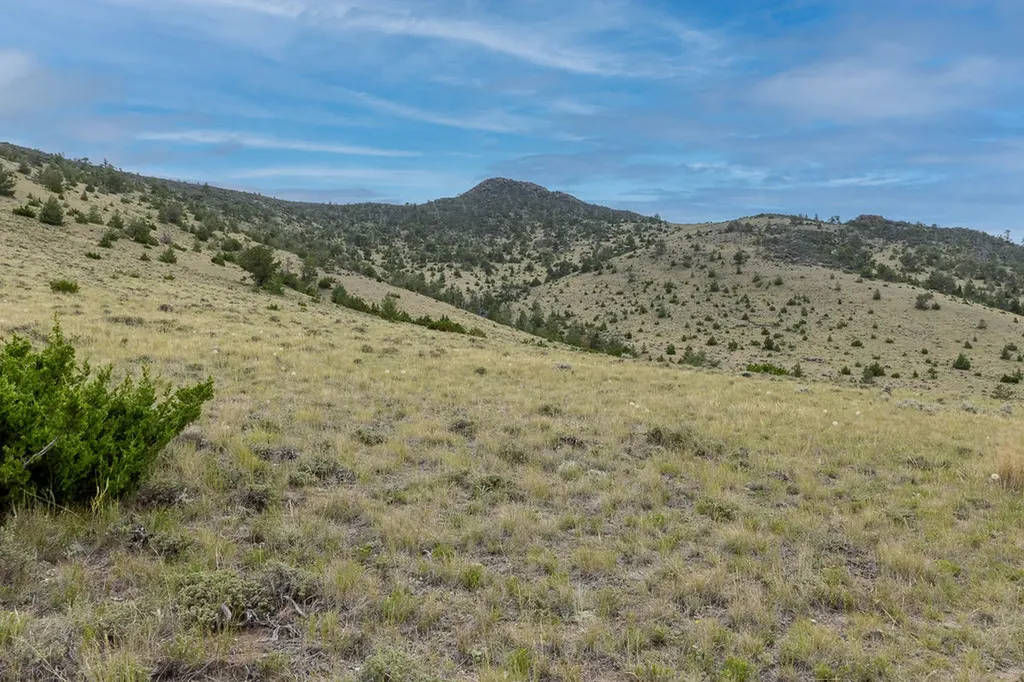 Nhn Milligan Canyon Cardwell MT 59721