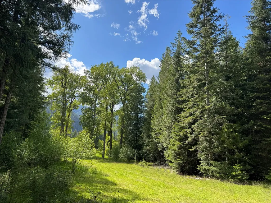 2 Cedar Grove Lane Noxon MT 59853