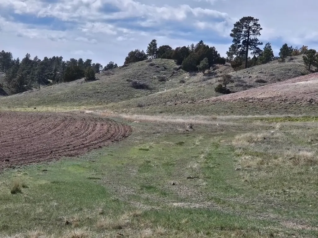 Nhn Moon Creek Road Miles City MT 59301