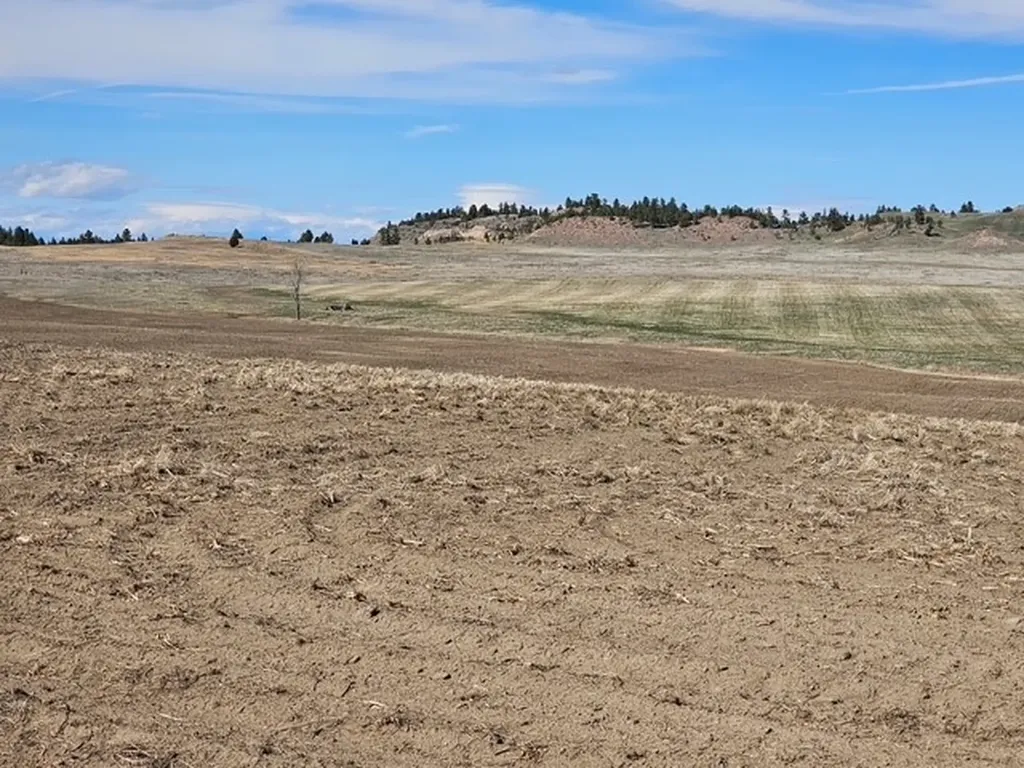 Nhn Moon Creek Road Miles City MT 59301