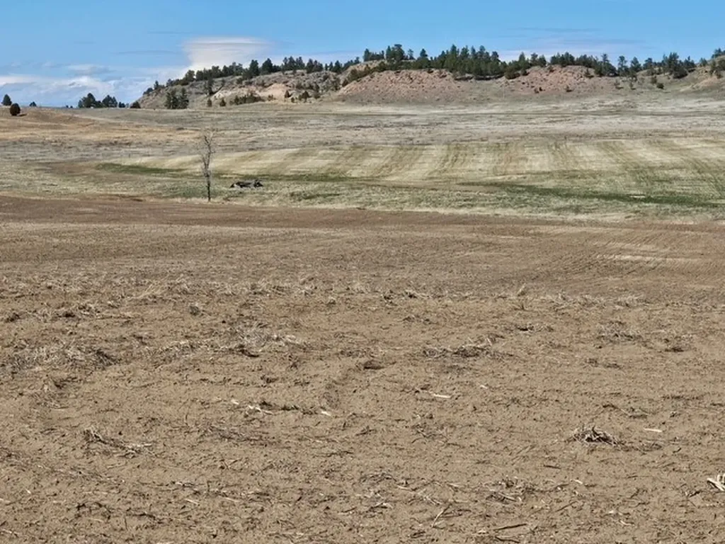 Nhn Moon Creek Road Miles City MT 59301