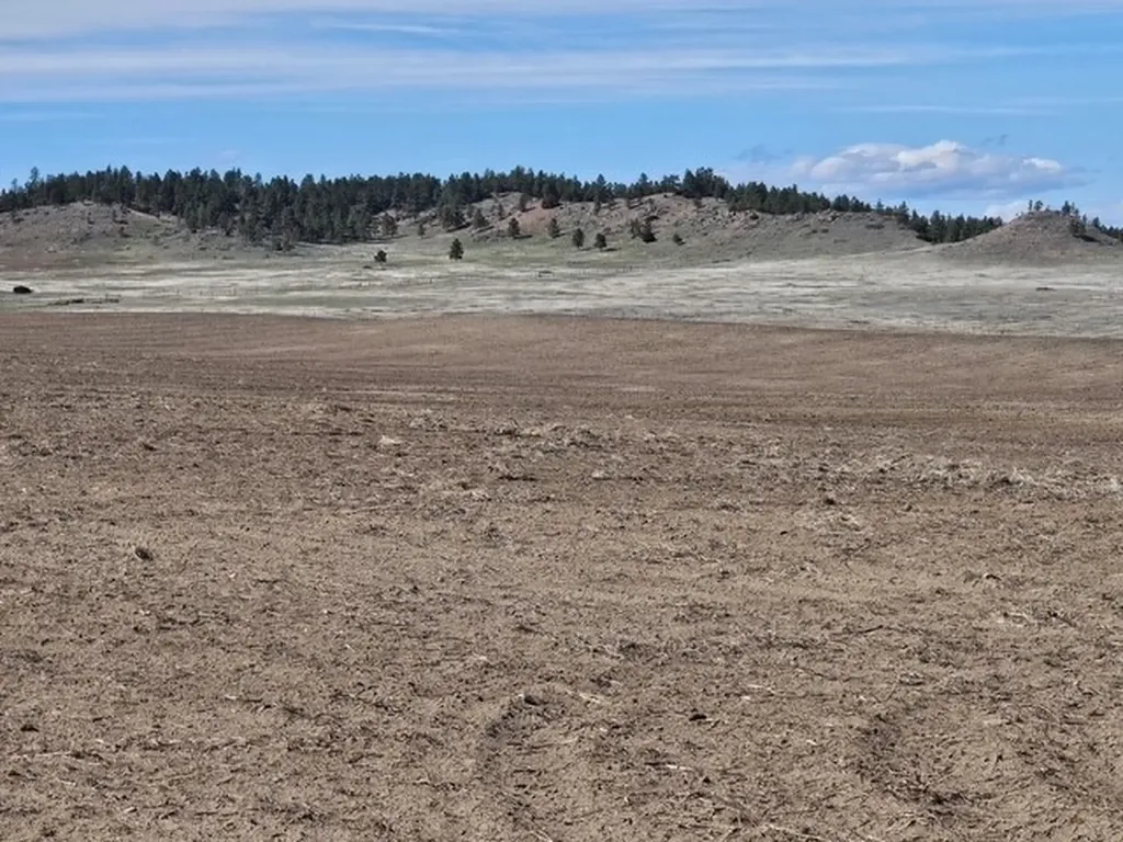Nhn Moon Creek Road Miles City MT 59301