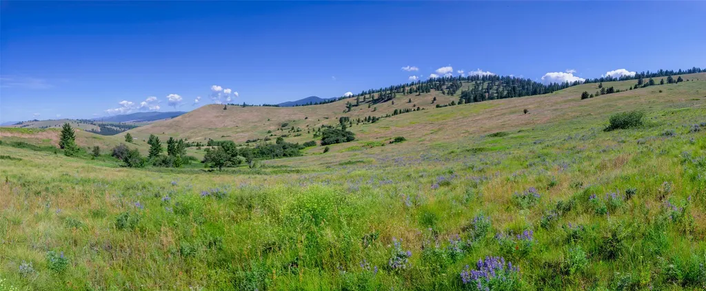 4815 Gleneagle Way Missoula MT 59808