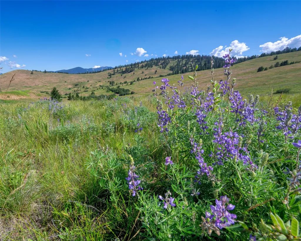 4815 Gleneagle Way Missoula MT 59808