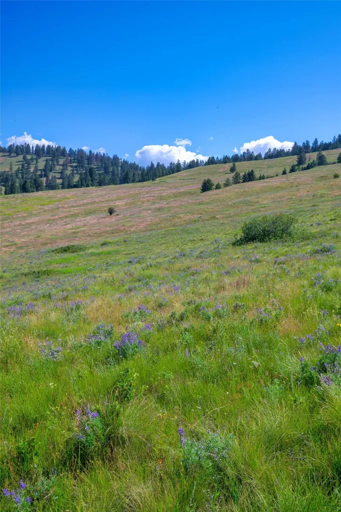 4815 Gleneagle Way Missoula MT 59808