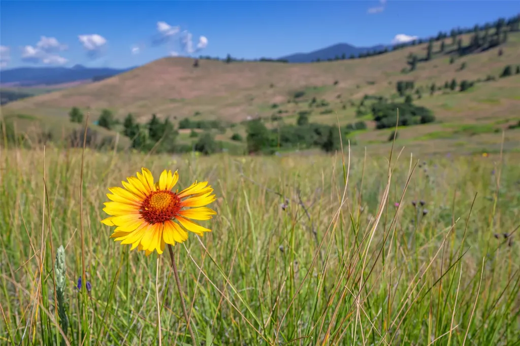 4815 Gleneagle Way Missoula MT 59808