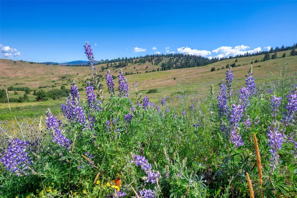 Nhn Gleneagle Way Missoula MT 59808
