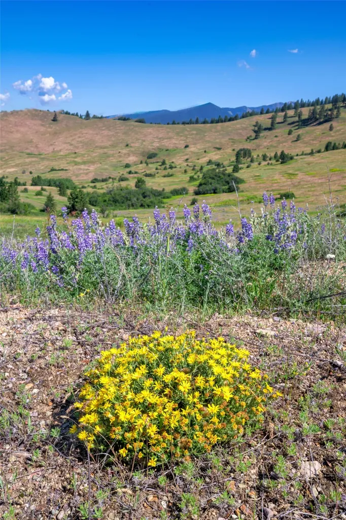 Nhn Gleneagle Way Missoula MT 59808