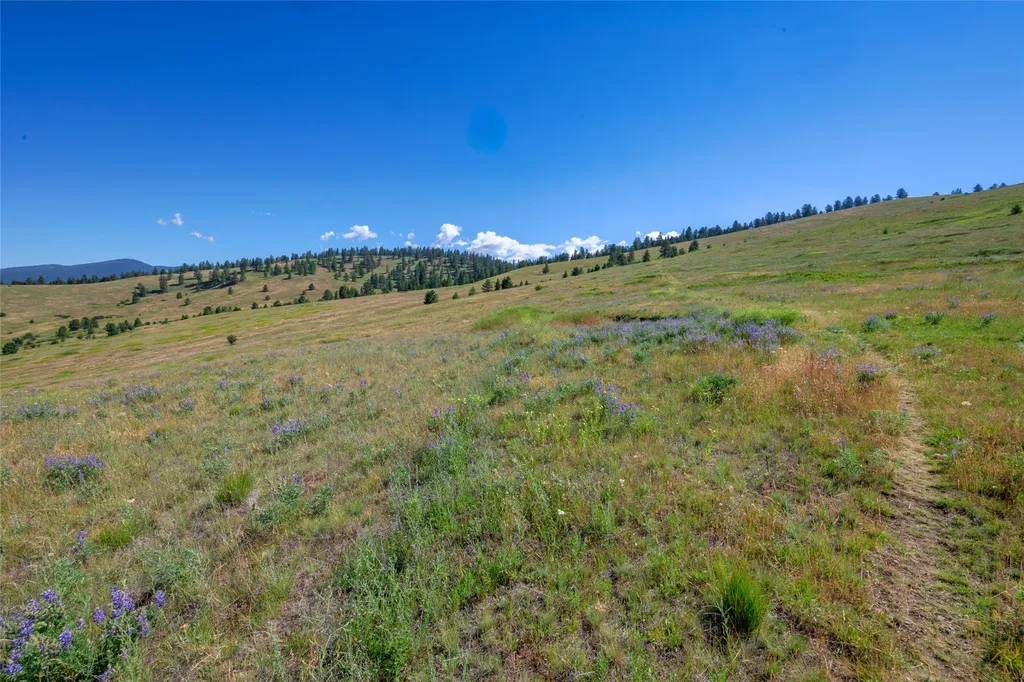 Nhn Gleneagle Way Missoula MT 59808