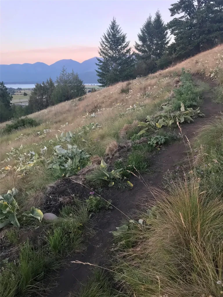 Lot 8 Long Lake Drive Polson MT 59860