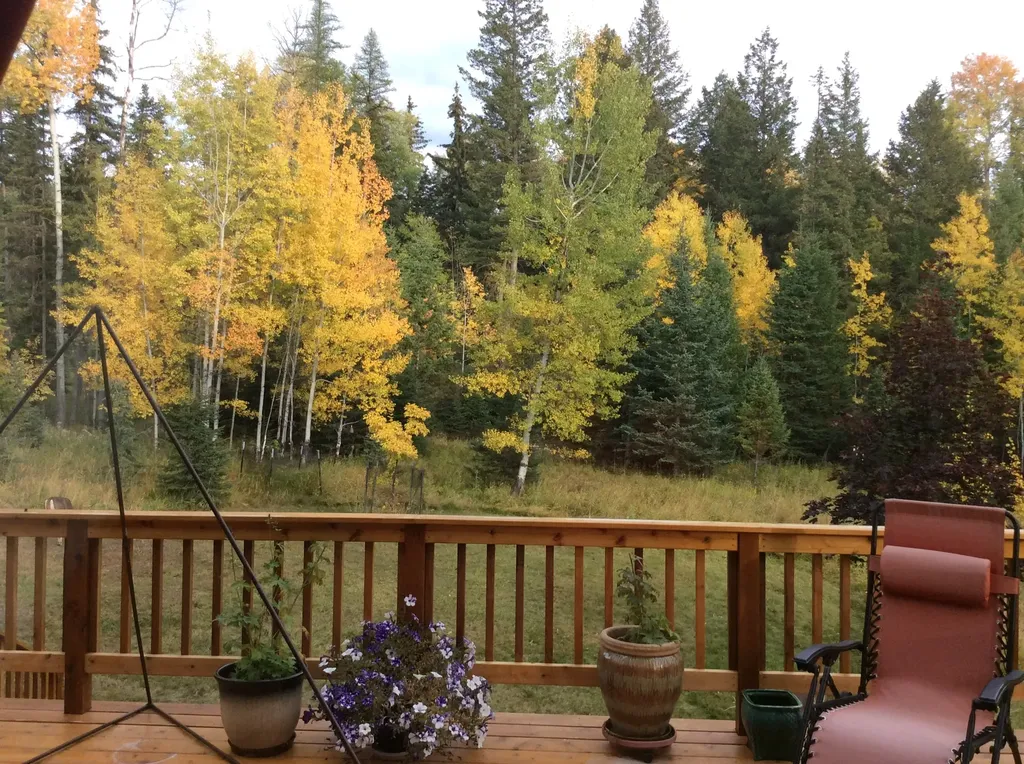 205 Bales Creek Trail Kila MT 59920