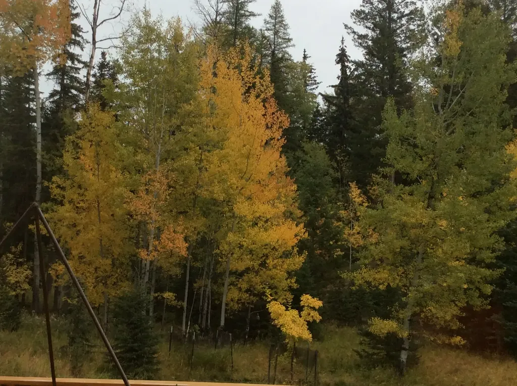 205 Bales Creek Trail Kila MT 59920