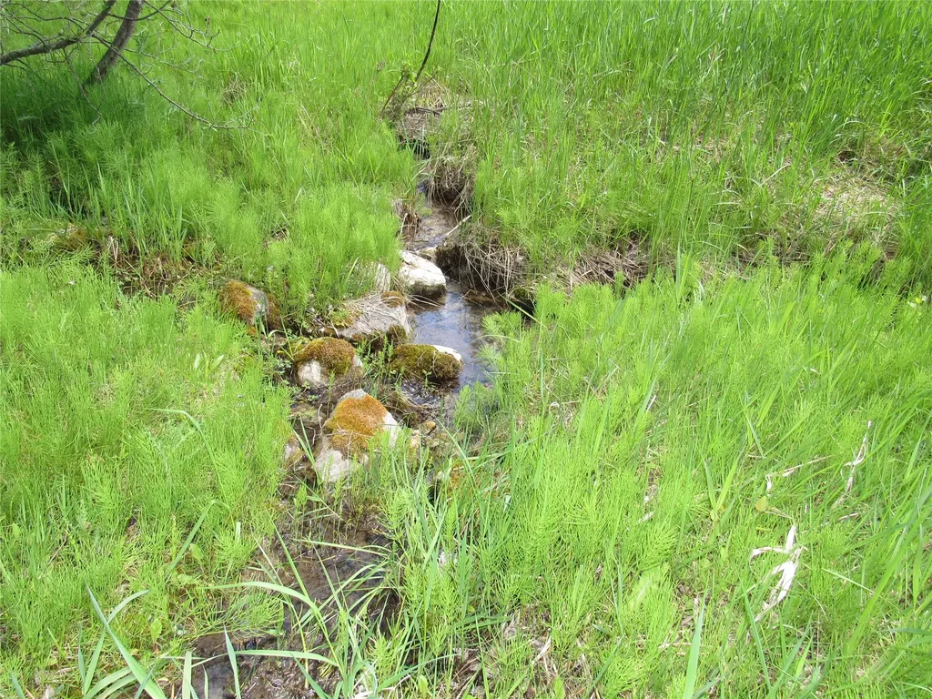 205 Bales Creek Trail Kila MT 59920