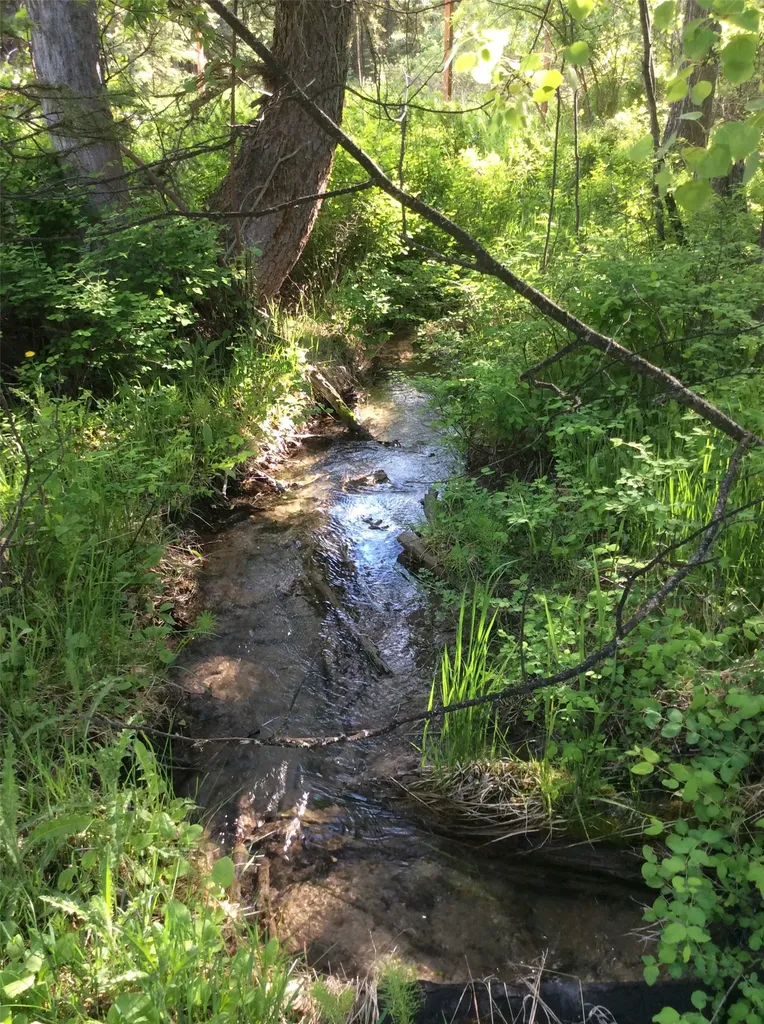 205 Bales Creek Trail Kila MT 59920