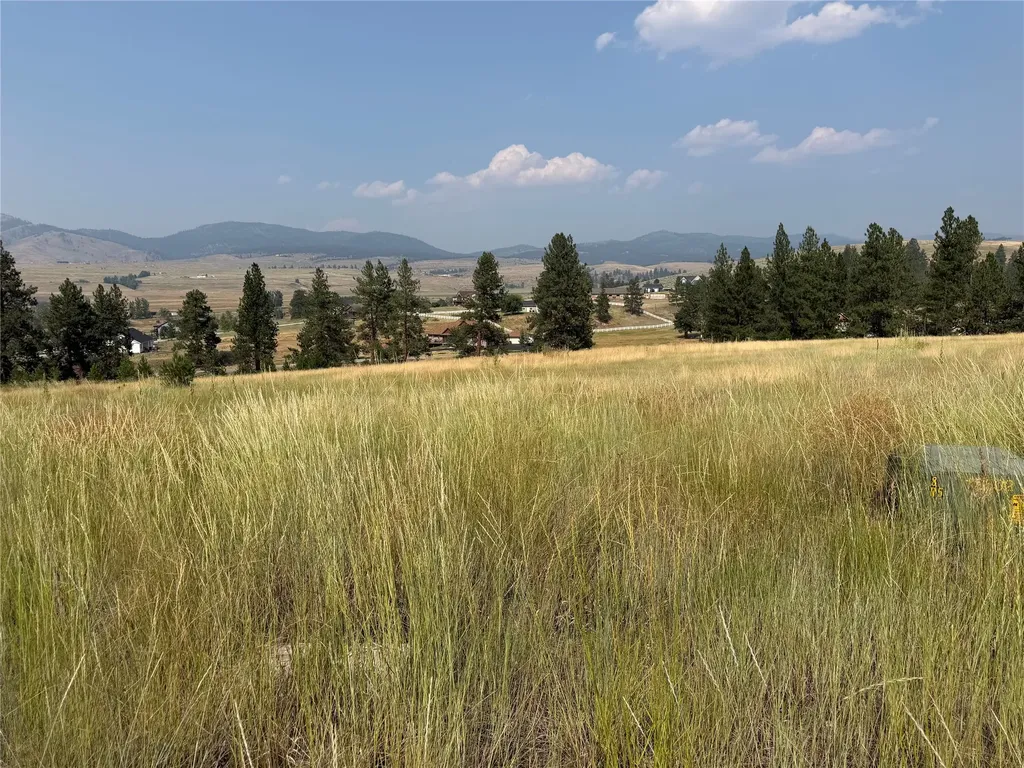 984 Sandhill Loop Florence MT 59833