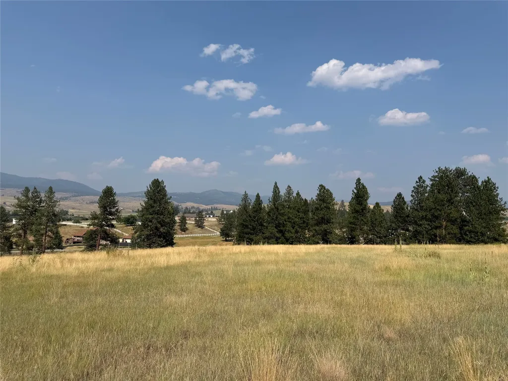 984 Sandhill Loop Florence MT 59833