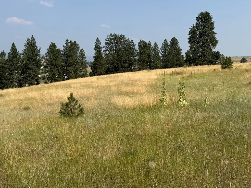 984 Sandhill Loop Florence MT 59833