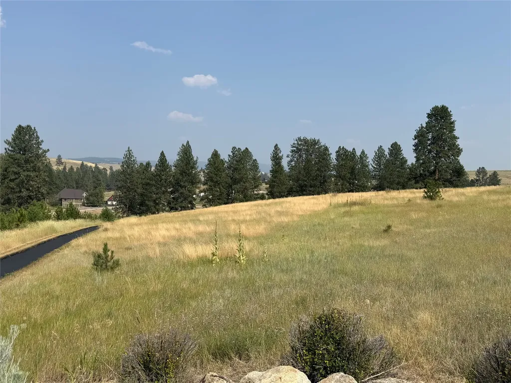 984 Sandhill Loop Florence MT 59833