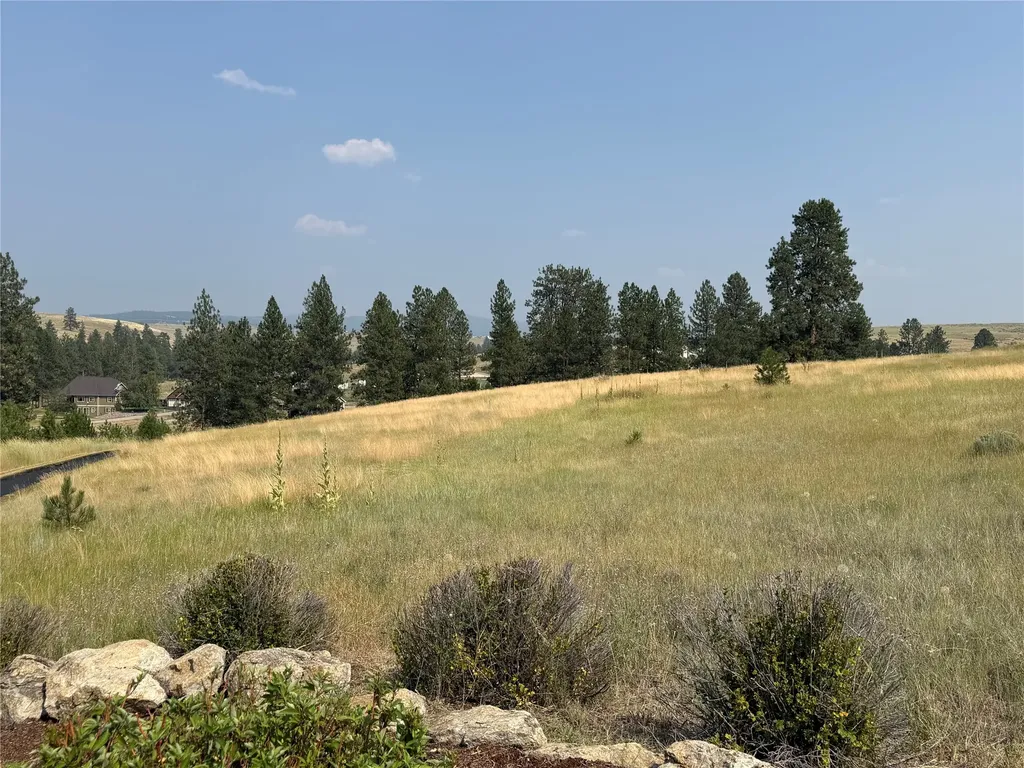 984 Sandhill Loop Florence MT 59833