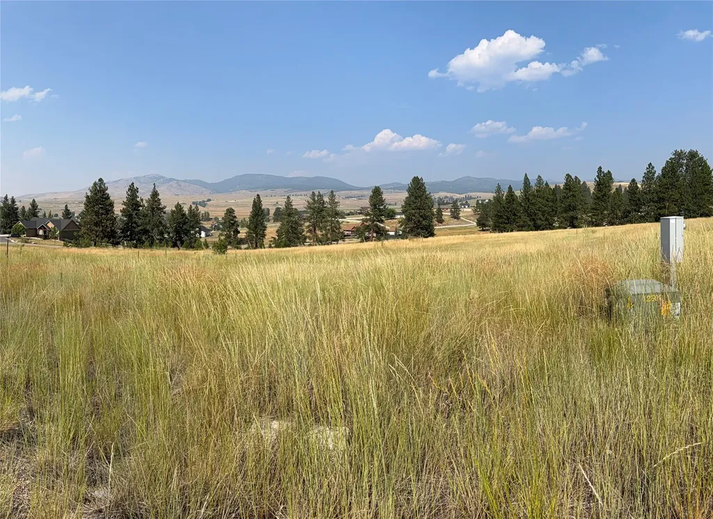 984 Sandhill Loop Florence MT 59833