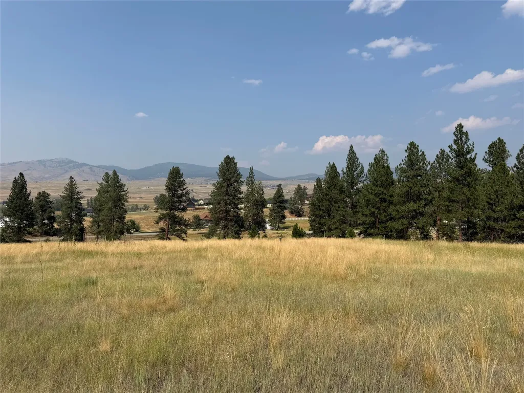 984 Sandhill Loop Florence MT 59833