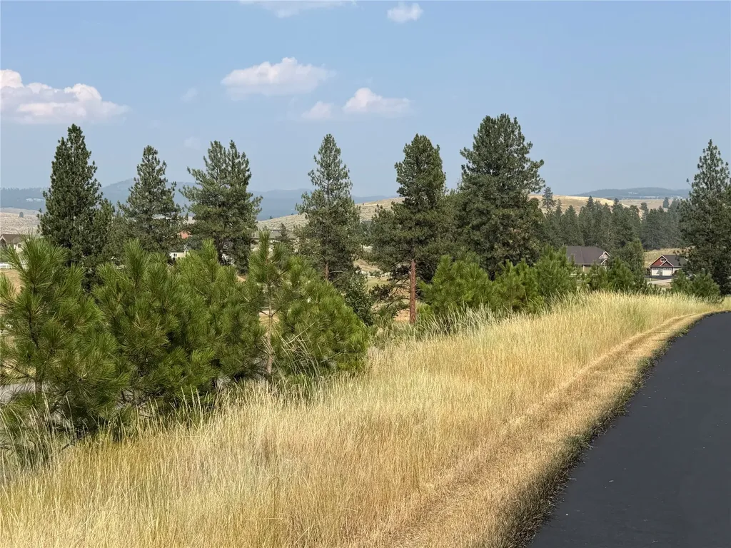 984 Sandhill Loop Florence MT 59833