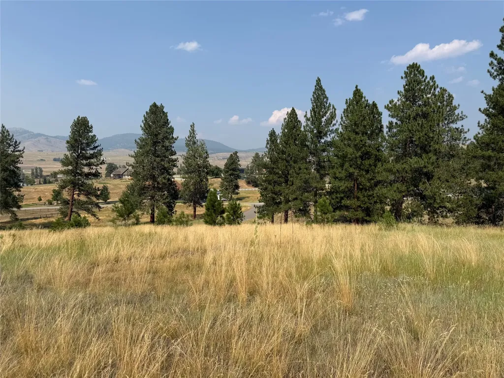 984 Sandhill Loop Florence MT 59833