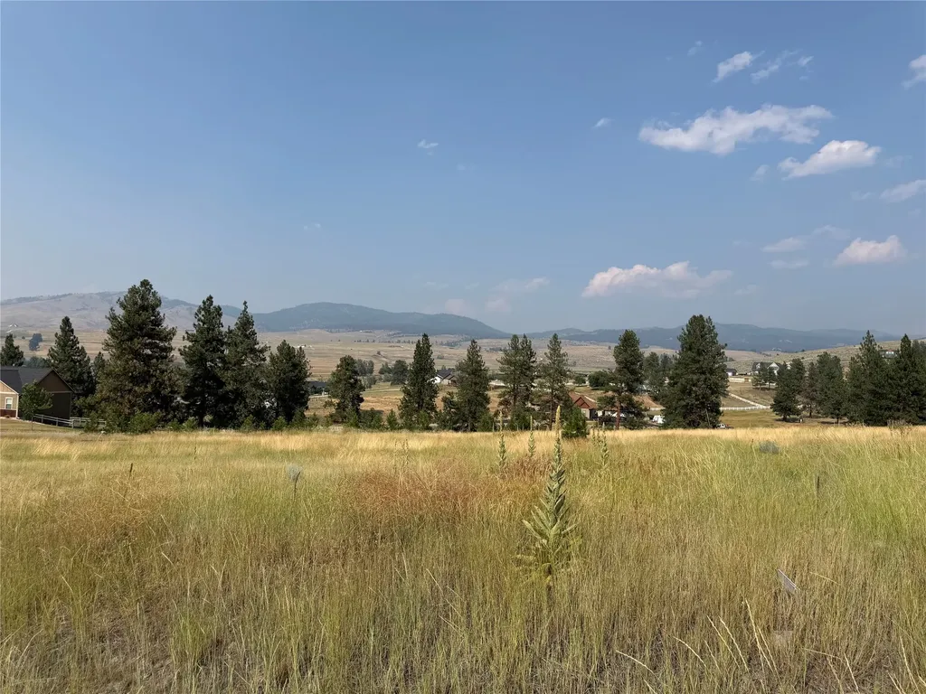 984 Sandhill Loop Florence MT 59833
