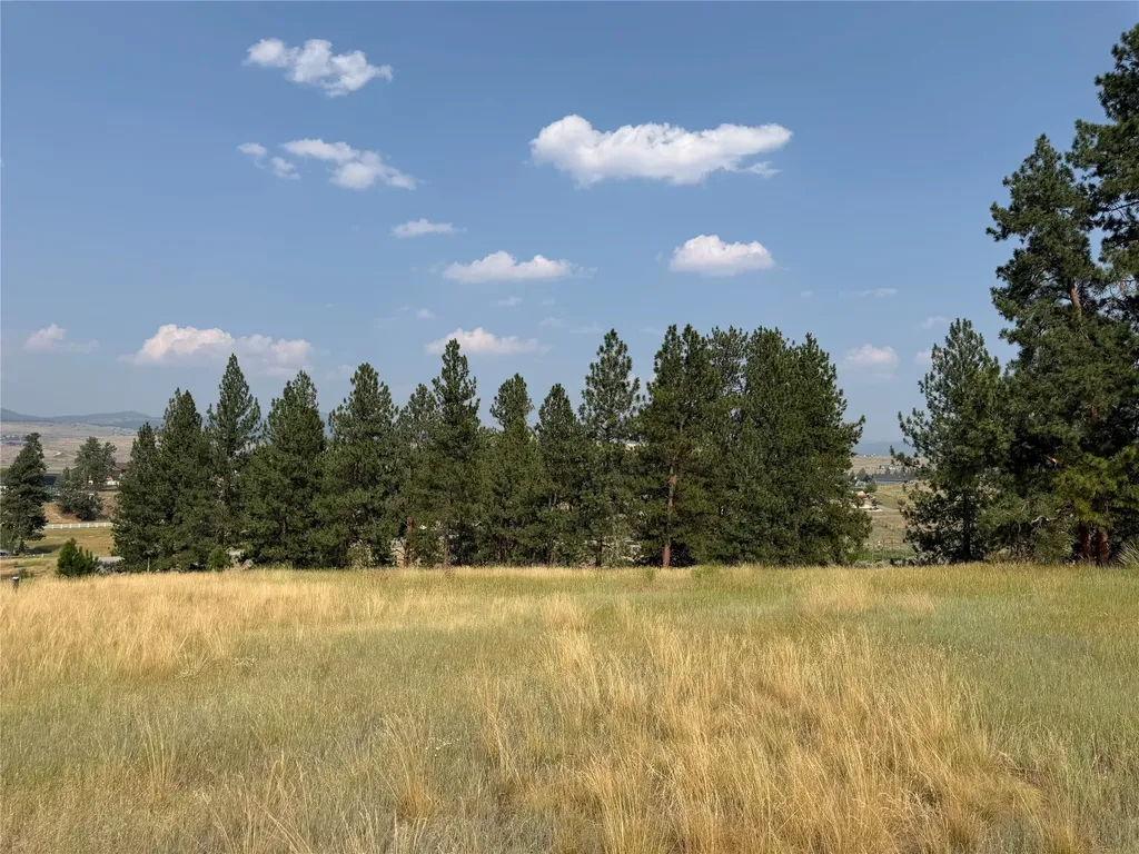 984 Sandhill Loop Florence MT 59833