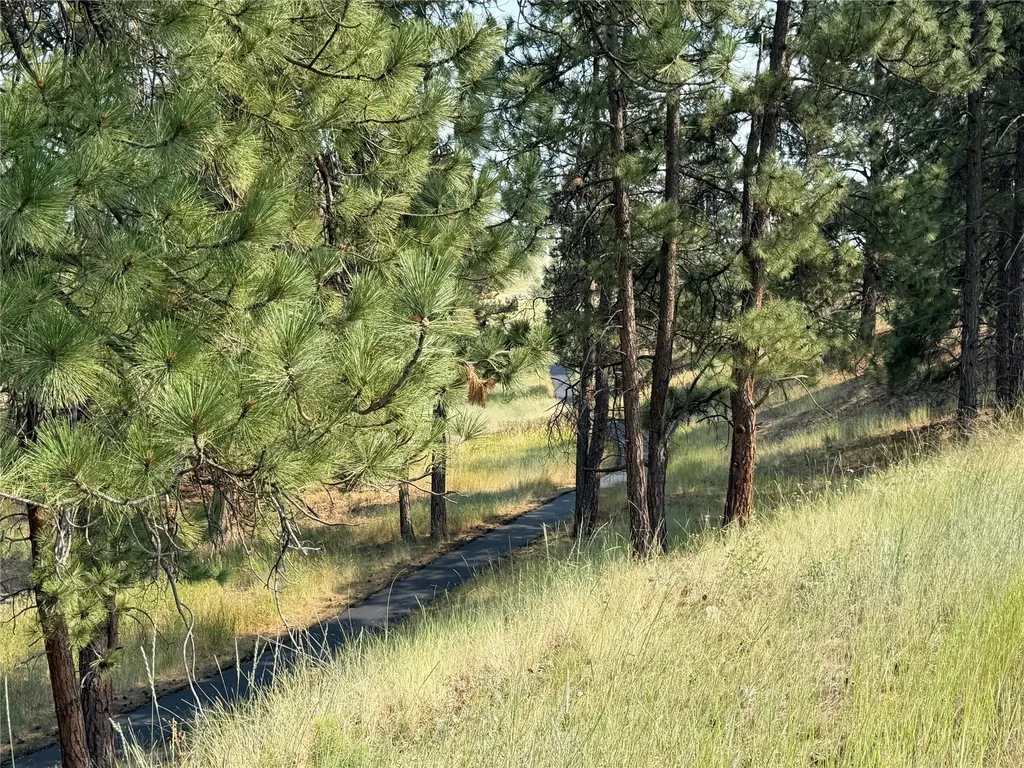 984 Sandhill Loop Florence MT 59833