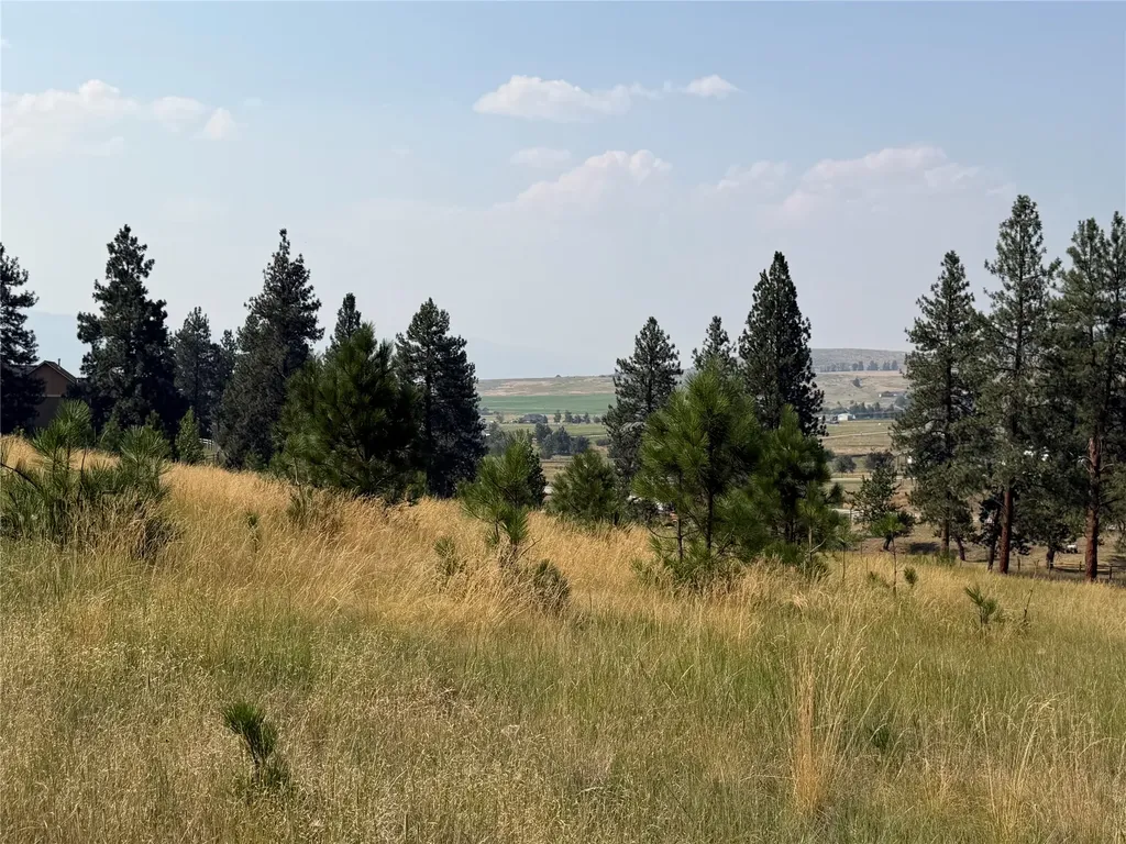 984 Sandhill Loop Florence MT 59833