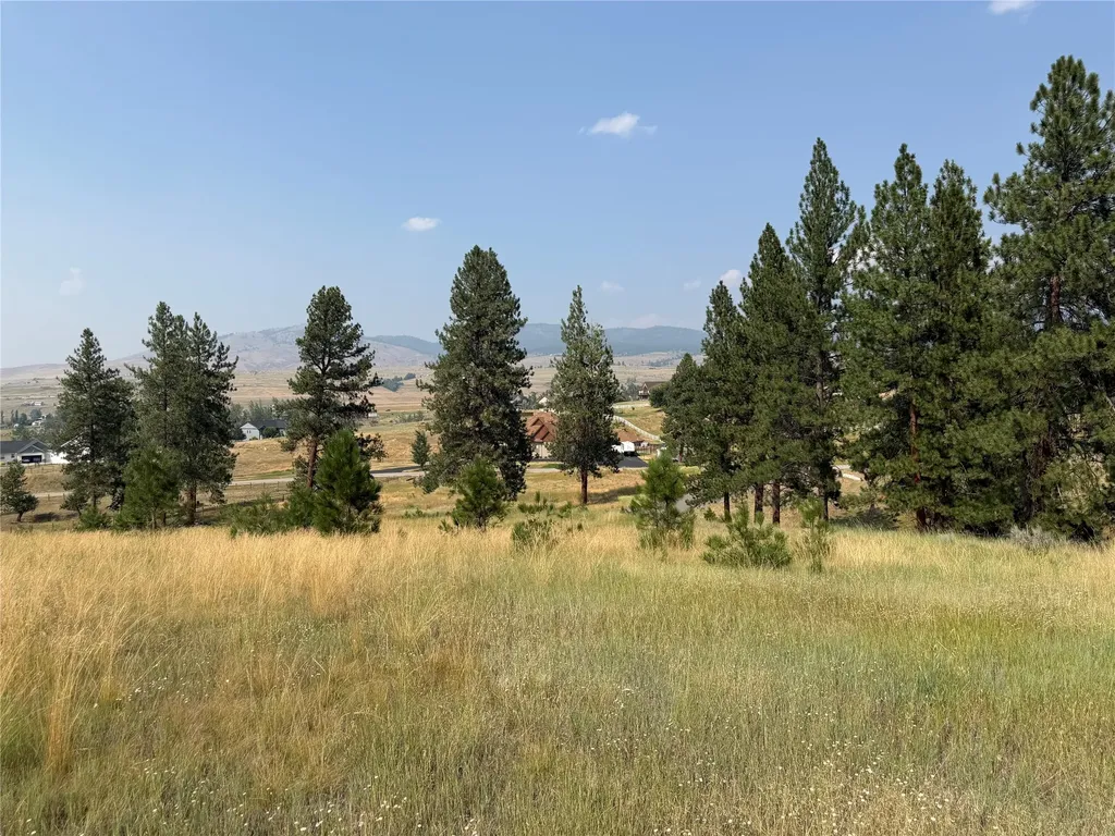 984 Sandhill Loop Florence MT 59833