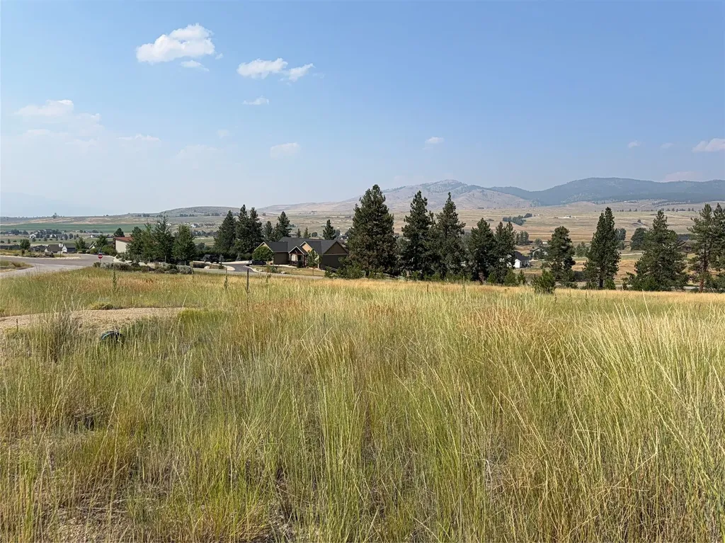 984 Sandhill Loop Florence MT 59833