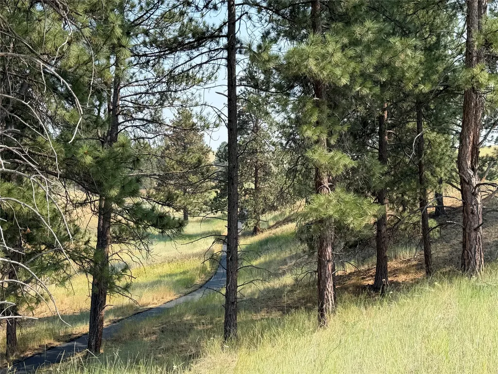 984 Sandhill Loop Florence MT 59833