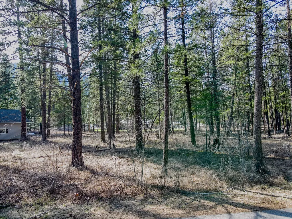 Nhn Greers Ferry Road Libby MT 59923