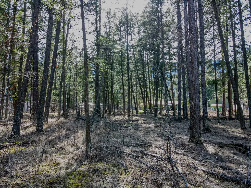 Nhn Greers Ferry Road Libby MT 59923