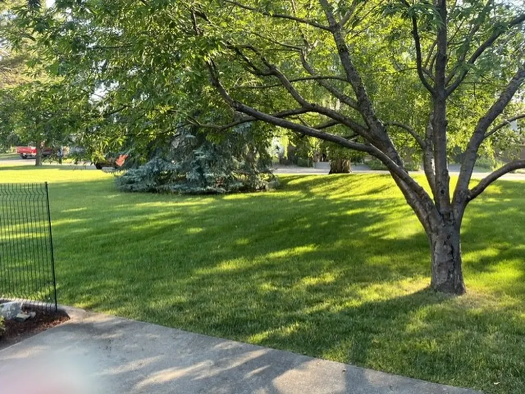 174 Fairway Boulevard Kalispell MT 59901