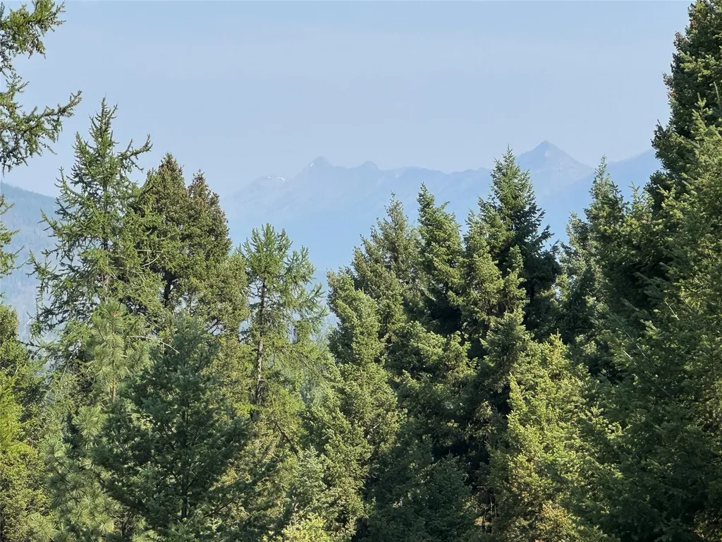 993 Stagecoach Drive Seeley Lake MT 59868