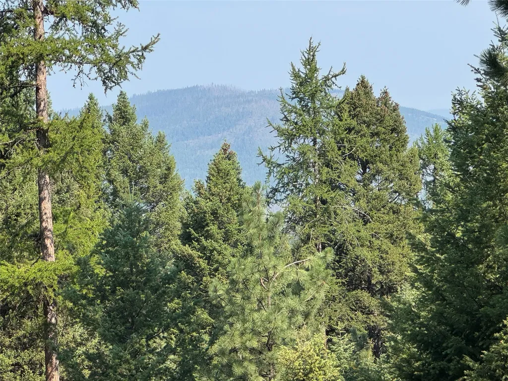 993 Stagecoach Drive Seeley Lake MT 59868