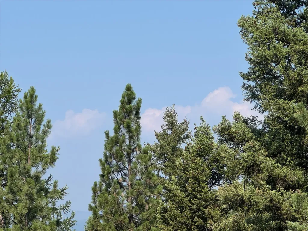 993 Stagecoach Drive Seeley Lake MT 59868
