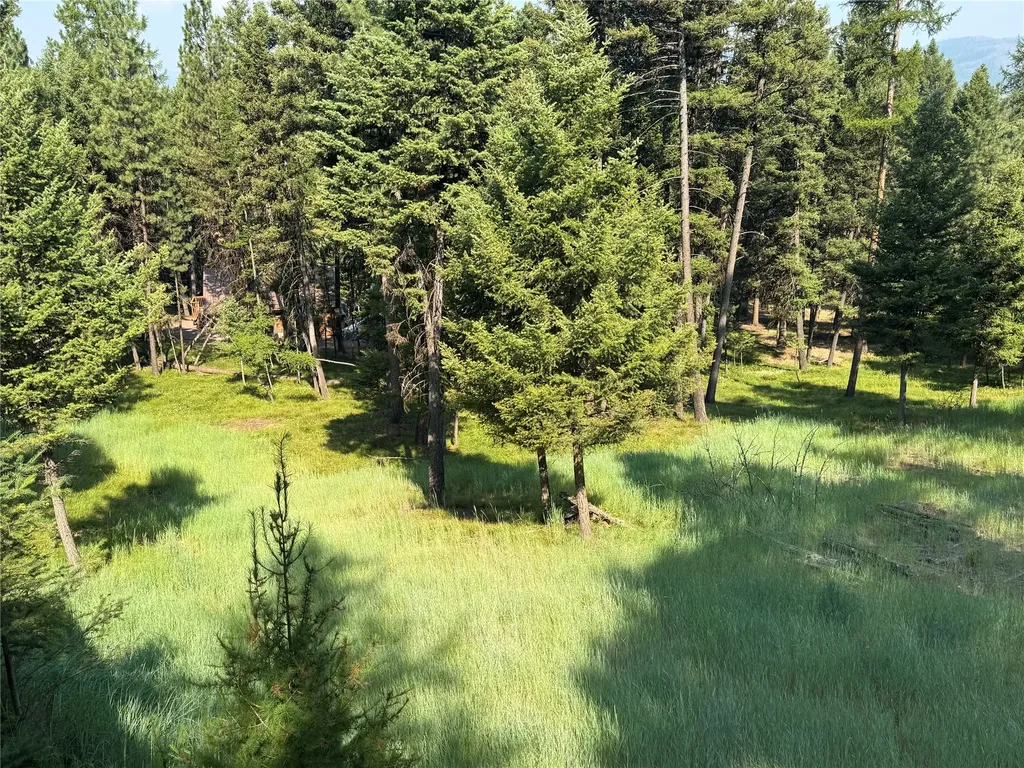 993 Stagecoach Drive Seeley Lake MT 59868