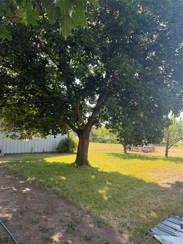 271 S Sapphire Street Hamilton MT 59840