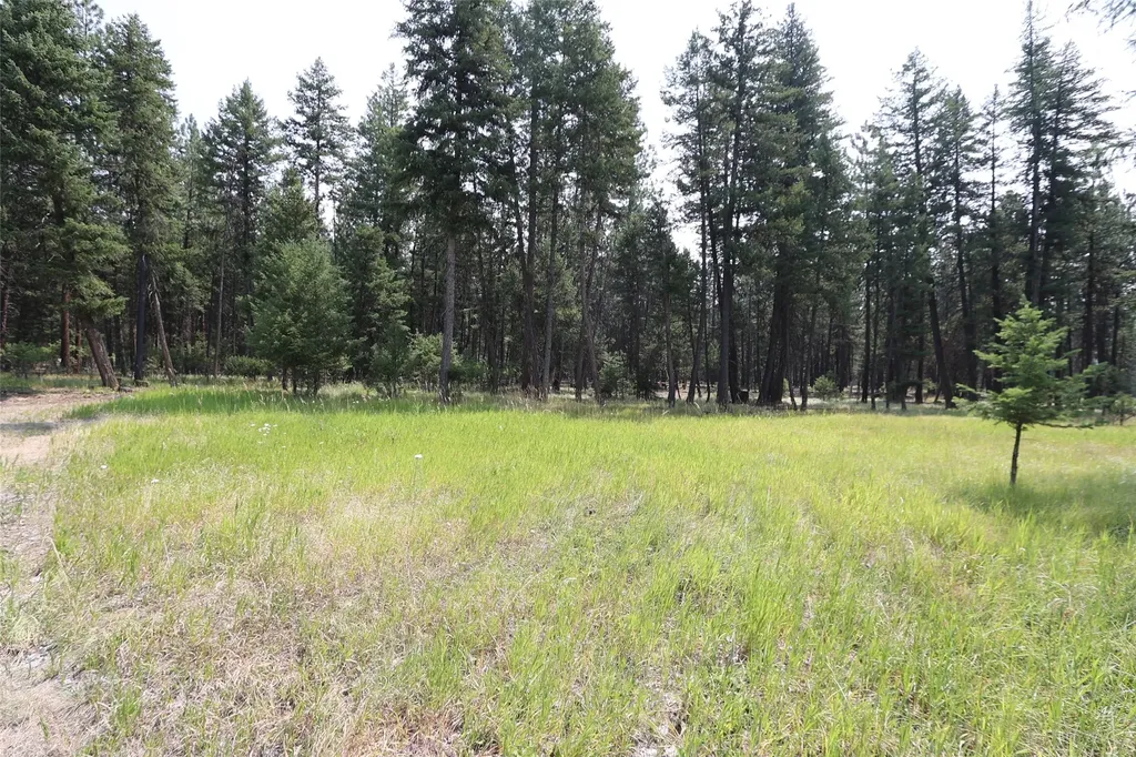 40 Old Cedar Creek Road Plains MT 59859