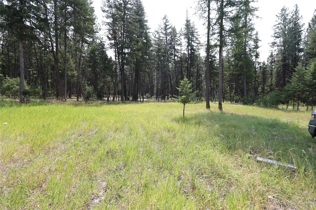 40 Old Cedar Creek Road Plains MT 59859